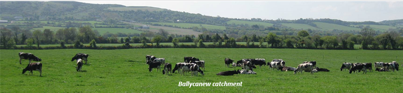 Ballycanew catchment
