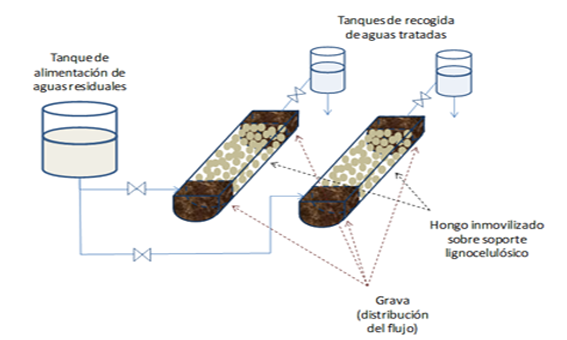 Scheme of the bioremediation system based on the use of white rot fungi (WRF) planned to be tested in the Llobregta River.