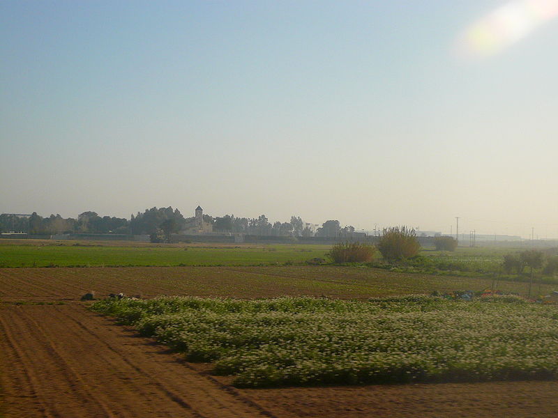 Cal Felip and delta of Llobregat river, el Prat de Llobregat, Catalonia
