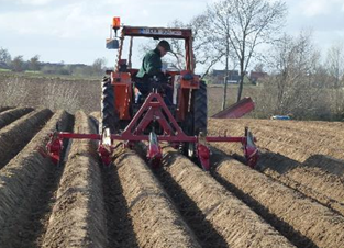 Promotion of machnies to make inter-row bunds