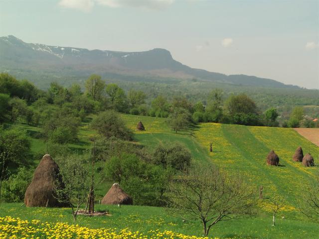 Mara river: Agricultural activities in the action lab